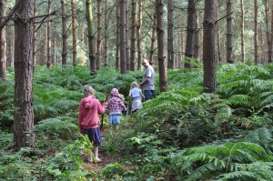 Day 536: A trip to Birches Valley on Cannock Chase. We took a detour to get there, which resulted in us seeing wild deer, then went off the beaten track while we were there to have a bit of an adventure. Sometimes it's good to get lost, especially amongst all this green :)