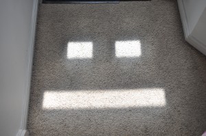 Day 152: The sunlight streaming in through the windows in my front door created this face on my hallway carpet. Still making me smile days later! :)