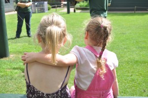 Day 151: Sisterly love during an afternoon at Gentleshaw Wildlife Sanctuary