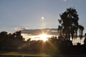 Day 455: A beautiful summer sunset walking home through the park from the station after being in London all day