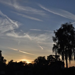 Day 441: Pretty skies on my way home from the train station after a long day in London. Loving the lighter evenings :)