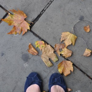 Day 525: Autumn leaves on the ground in London this morning. Considering we haven't really even had a summer yet it does seem a tiny bit unfair that Autumn is already on it's way. And yet, a teeny tiny part of me is secretly quite looking forward to it - it's my favourite season :)