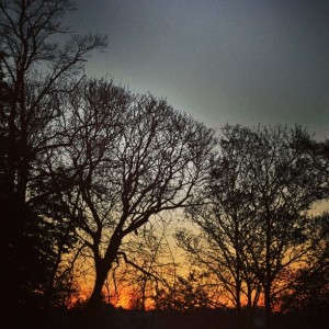 Day 413: This morning's sunrise offering on my way to the train station at 5.25am. It makes getting up at that early worth it.