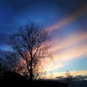 Day 244: Beautiful November sky noticed by Ella on our walk home from school after getting fantastic feedback for all three girls at Parent's Evening