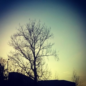 Day 260: Love clear and sunny days in Autumn. This was the sky on the school-run today... So beautiful