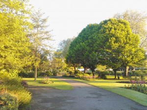 Day 70: Walking through Victoria Park at 6am on my way to the train station for a day of London clients