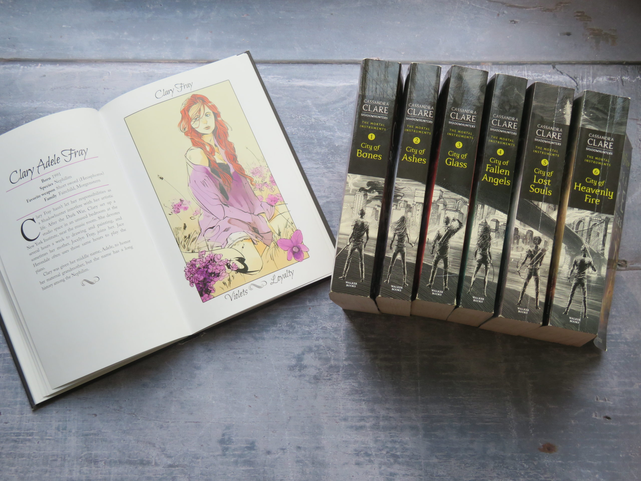 Cassandra Clare The Mortal Instruments 7 Books Collection Set (City of  Bones, City of Ashes, City Glass, City of Lost Soul, City of Fallen Angels,  City of Heavenly Fire & The Shadowhunter's